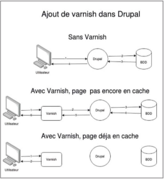 ajout de varnish dans drupal