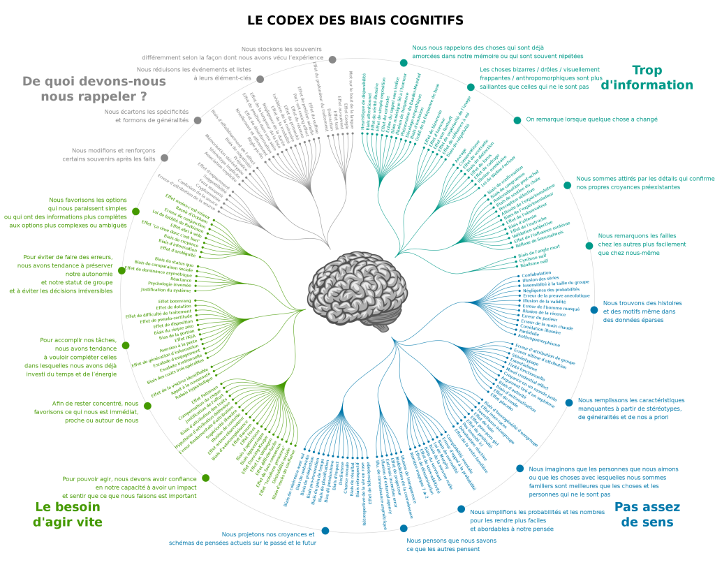 Tout savoir sur les biais cognitifs - Kaliop