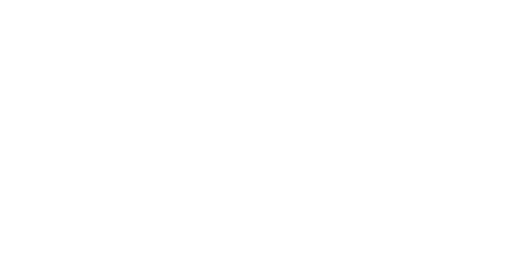 Wdrożenie nowej strony internetowej i systemu umożliwiającego darczyńcom przekazywanie wpłat 