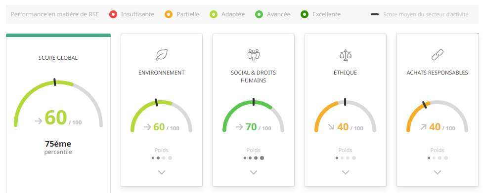 ecovadis