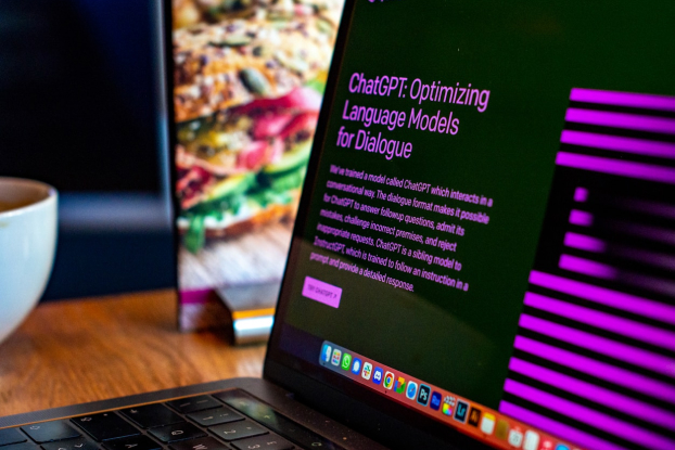 Image for IA Souveraine et Open Source : bénéficier des LLMs en toute sécurité
